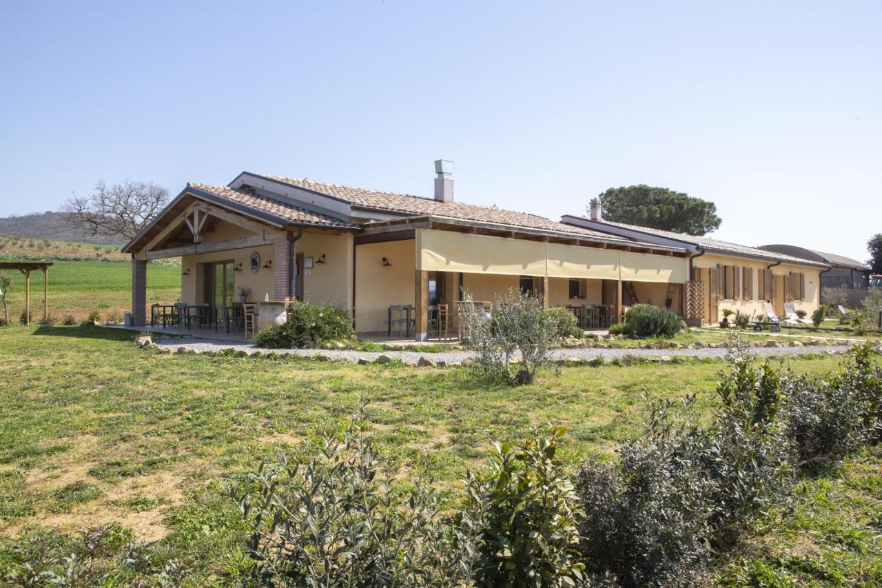 Agriturismo Casa Ricci Villa Magliano in Toscana Eksteriør billede