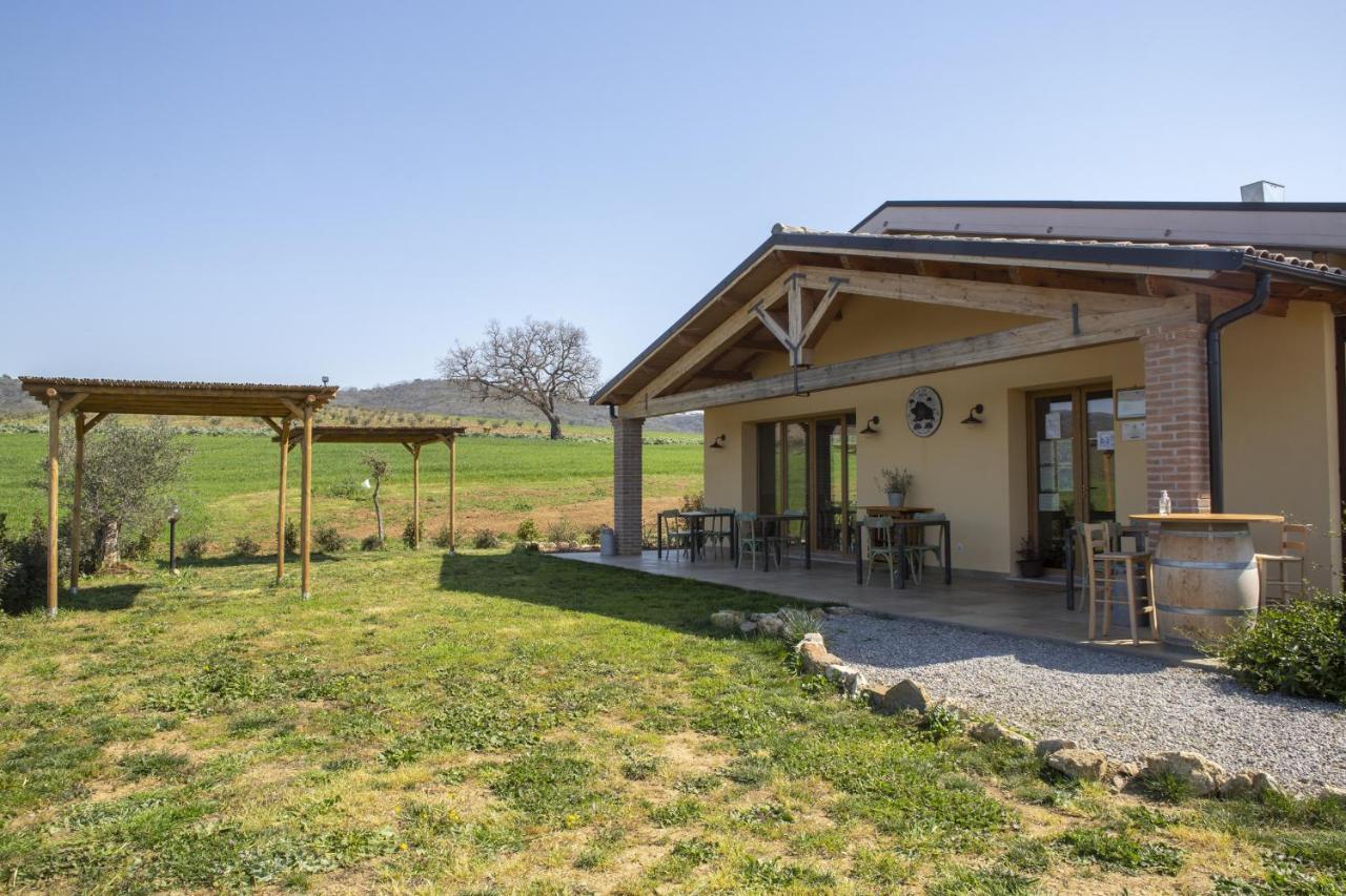 Agriturismo Casa Ricci Villa Magliano in Toscana Eksteriør billede